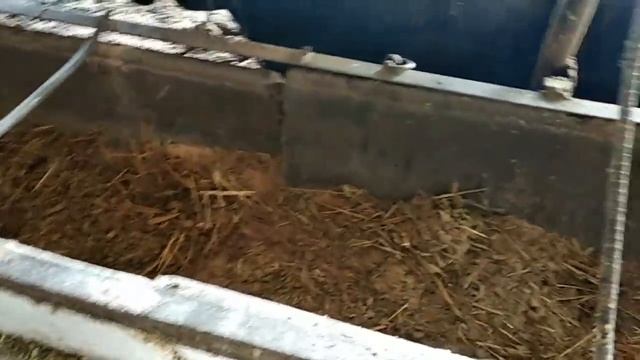 Мол Бокиш Бизнеси