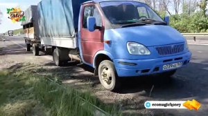 Перевозка пчел с зимнего курорта домой