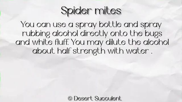 2/5 Common Succulent pests you should know and how to treat them смотреть онлайн