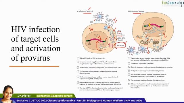 CUET UG Vijeta Series - DAY 7 : Unit III: Biology and Human Welfare : HIV and AIDs