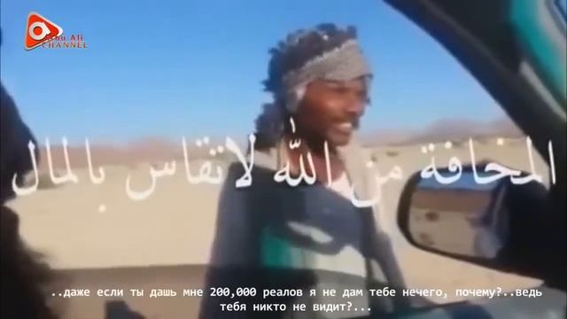 Пастух овец. Очень сильное видео !!! смотреть онлайн