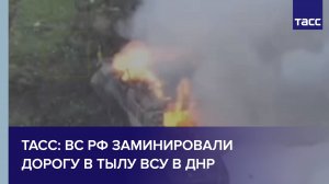 ВС РФ заминировали дорогу в тылу ВСУ в ДНР