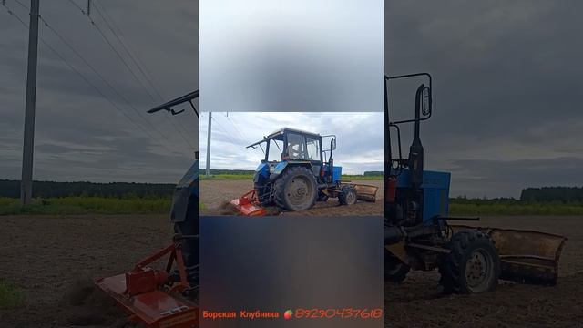 Фрезеровка участка под клубнику 🍓.Китайская фреза 1.8 смотреть онлайн