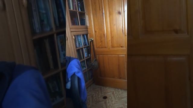 Дом для хомяков смотреть онлайн