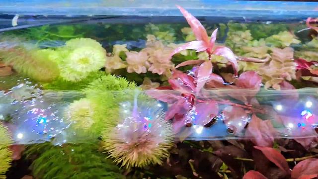 Пора делать прополку смотреть онлайн