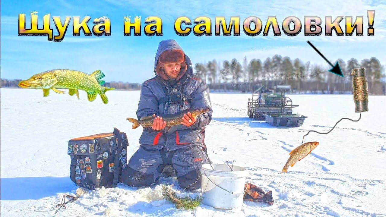 Поставил самоловки на одном из ближайших озёр! Рыбалка на жерлицы 2024.
