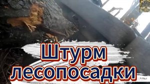 штурм лесопосадки, от первого лица.