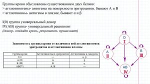 55 Кровь- свёртывание, группы крови, Rh