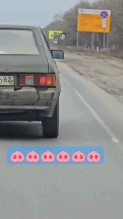 Везут огромную свинью.🤣🤣🤣🤣 #subscribe #piggy #pig #прикол #shorts #trending #trendingshorts