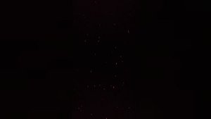 это правда !😁