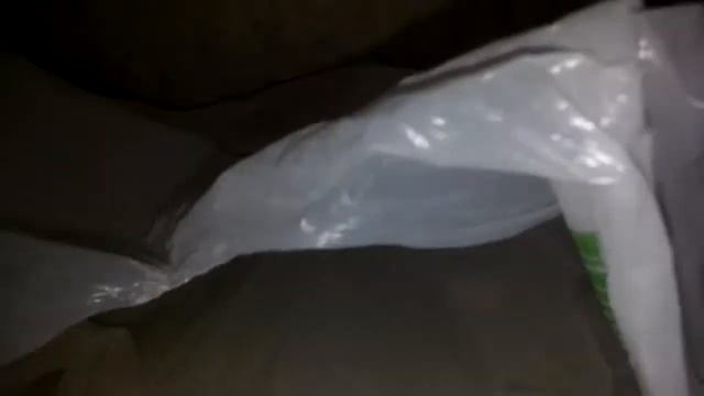 Переселение муравьев смотреть онлайн