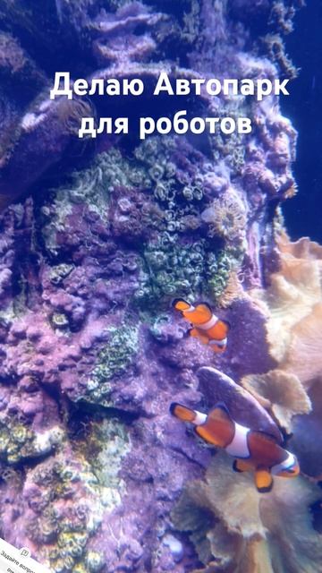 13 июля 2024 г. смотреть онлайн