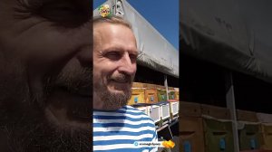 Перевозка пчел