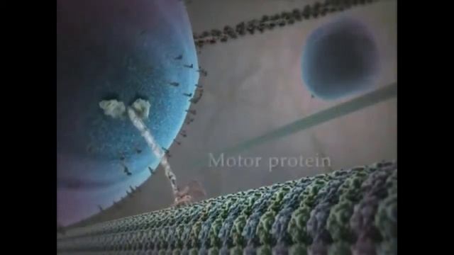 Жизнь клетки смотреть онлайн