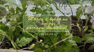 Танец с бубнами вокруг рассады томатов / Vlog Дача как есть 11.04.2025