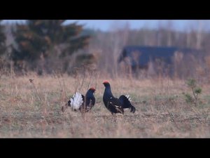 Времена года презентация