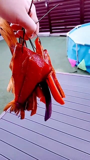 кета холодного копчения смотреть онлайн