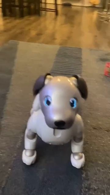 AI robot Dog made by Sony #redbulb #moderngadets #backboneone #ai