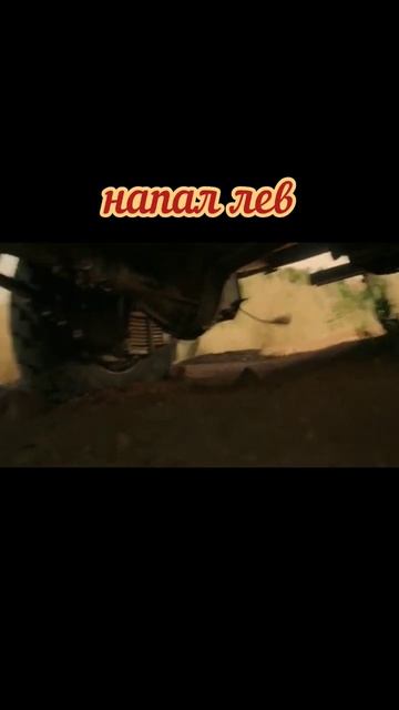 напал лев #зверь#кино2022 #film#триллер смотреть онлайн