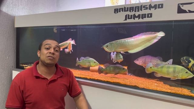 Chega de sofrer com Aruanã *cuidados necessários para ter uma* смотреть онлайн