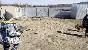 Школа из Новоалександрово в приюте "Дорога добра"