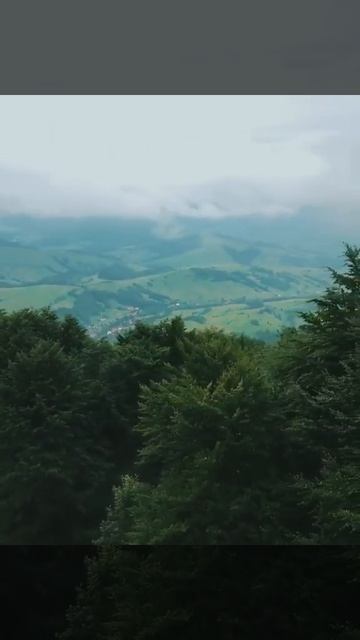 Пилипец, Закарпатская область. Гора Гимба. Тур в Карпаты 2021 Лето - Канатная дорога. Гора Гемба смотреть онлайн