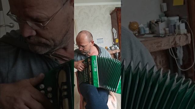 гармонь НеЧайка