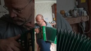 гармонь НеЧайка