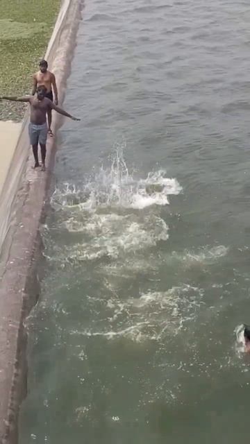 Swimming time смотреть онлайн