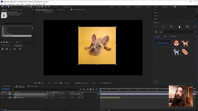 GIFS, textures, vectors, icons, and assets in Premiere Pro and After Effects - Wander Plugin смотреть онлайн