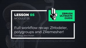 5-5 Workflow recap Zmodeler, Polygroups and ZRemesher