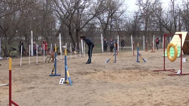 Лена и Тара. Аджилити смотреть онлайн