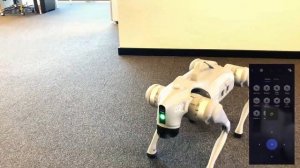 Unitree Go2'nin Sınırları Zorlayan Yetenekleri | Genel Bakış Videosu