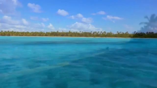 Доминикана смотреть онлайн