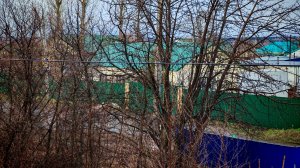 апрель в деревне, начинает вылазить трава, зеленеют деревья, жизнь и атмосфера в деревне