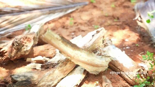 DELICIOUS THAILAND STYLE STICK CHICKEN TANDOORI VILLAGE GRANDPA SHOW