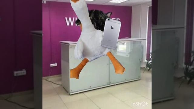 история про бедных таракашек 😭🥵😨
