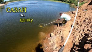 Рыбалка летом на донки. Клюнул сазан на жмых.