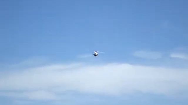 Mikado 600 scale body 3D flight Joe смотреть онлайн