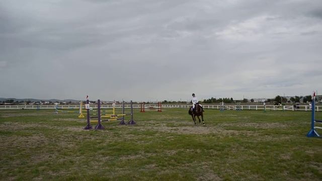 Тренировка наездницы перед соревнованиями