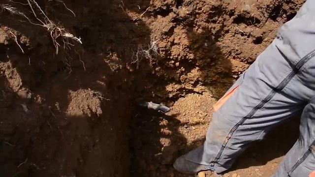 Structure et fertilité des sols en milieu tropical смотреть онлайн