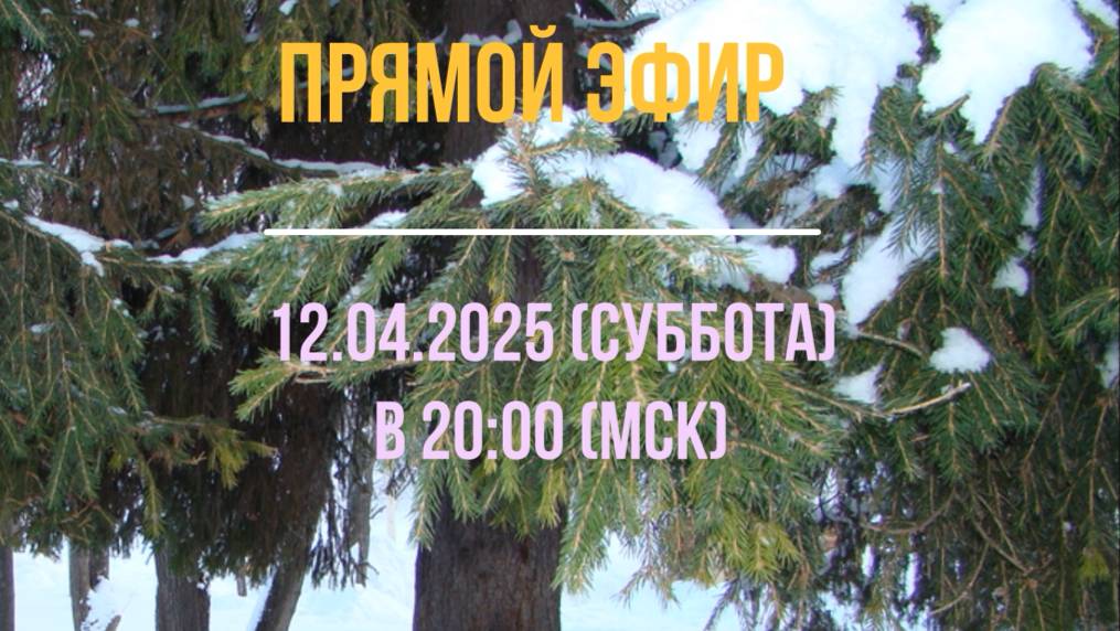 Анонс эфира 12.04.2025