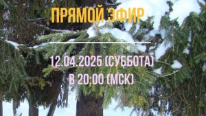 Анонс эфира 12.04.2025