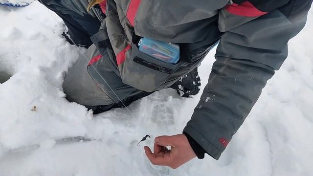 4 февраля 2024 г. смотреть онлайн