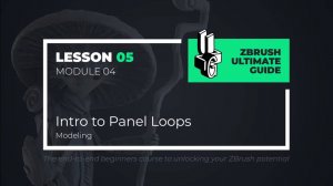 4-5 Intro to Panel Loops