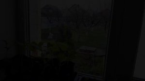 Немного поболела и опять в строю!