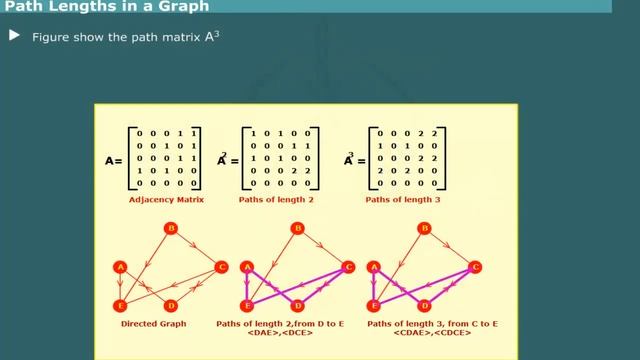 Graph Data Structure Tutorial by Computer Education for All