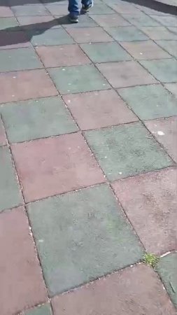 Богучар