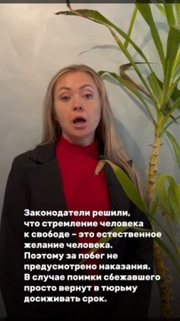 ПОБЕГ ИЗ ТЮРЬМЫ