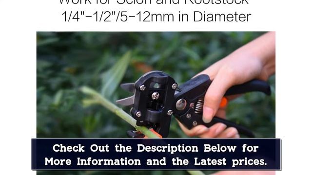 Top 5 Best Grafting Tools Reviews in 2024